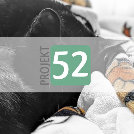 Projekt 52
