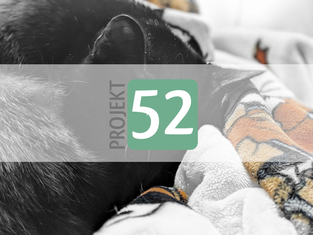 Projekt 52
