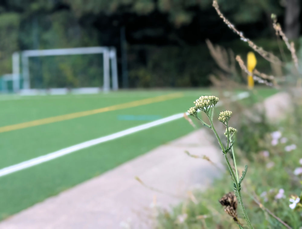 Fußball