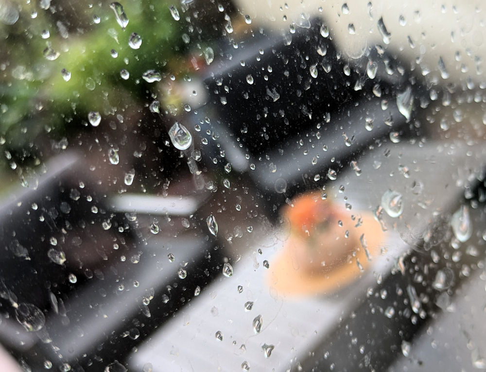 Regen