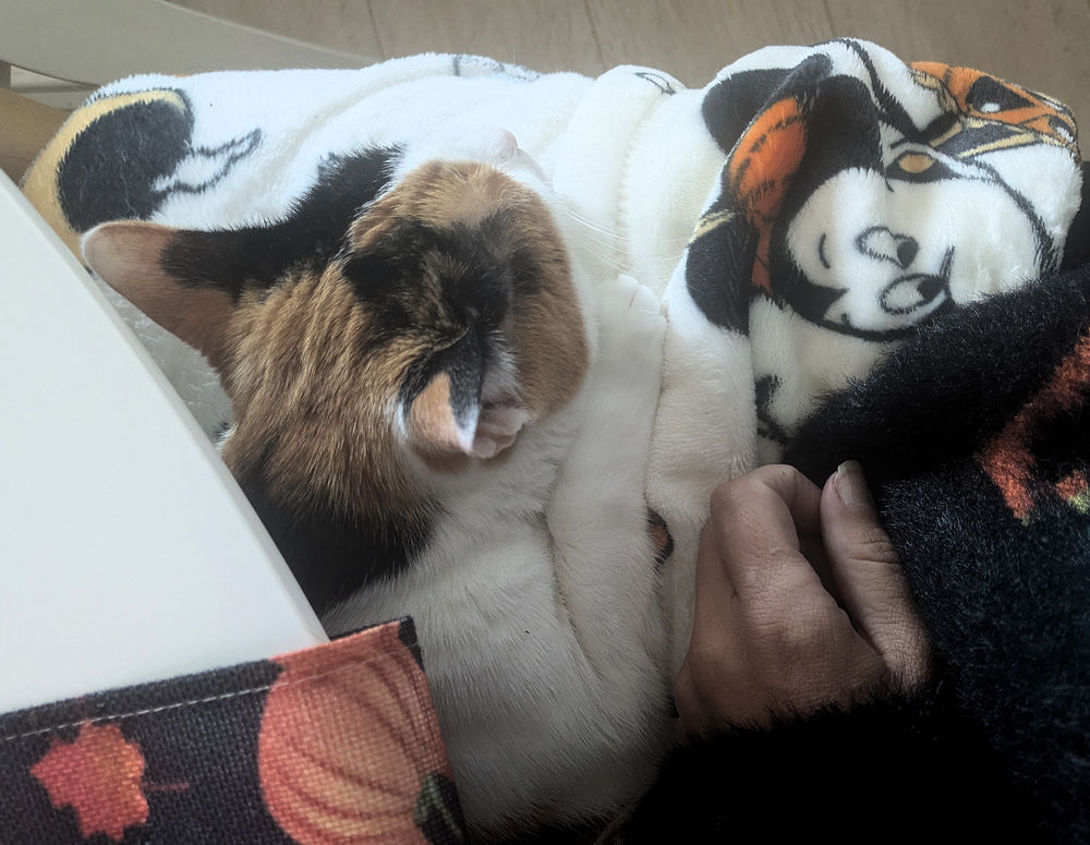 Wochenlieblinge