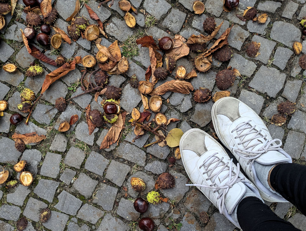 Herbst