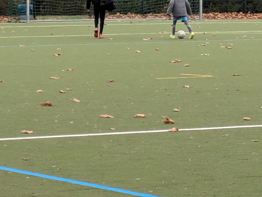 Fußball