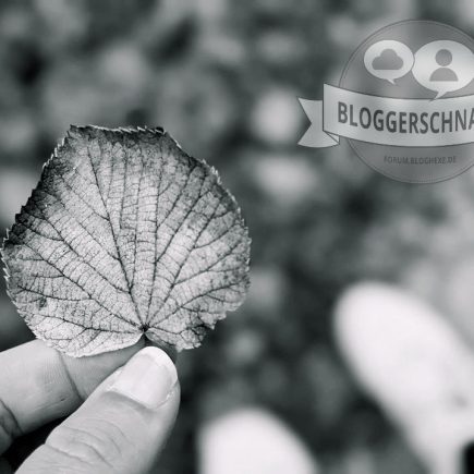 Bloggerschnack