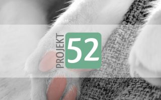 Projekt 52