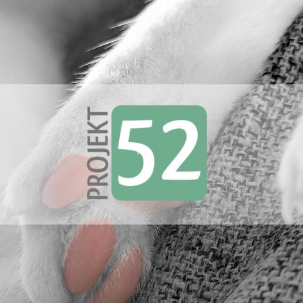Projekt 52