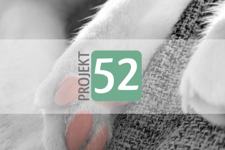 Projekt 52