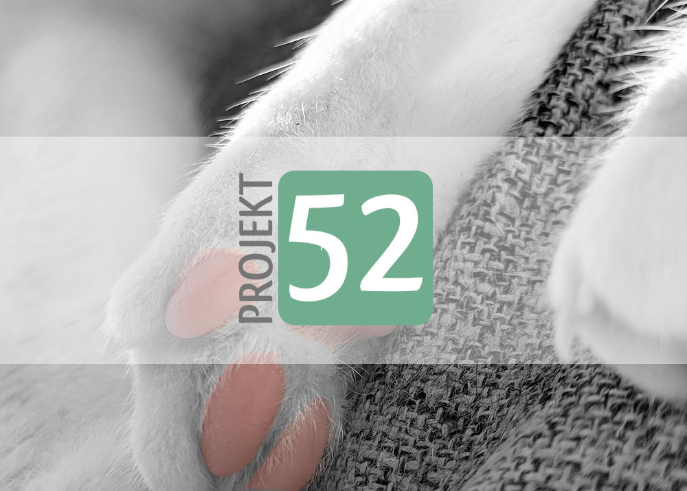 Projekt 52