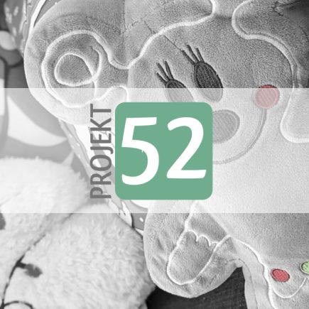 Projekt 52