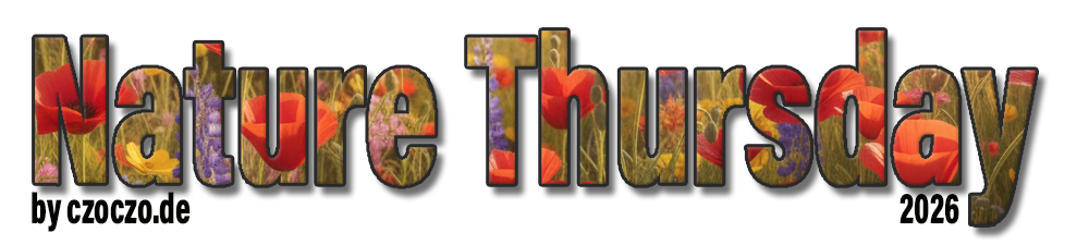 Nature Thursday 2026