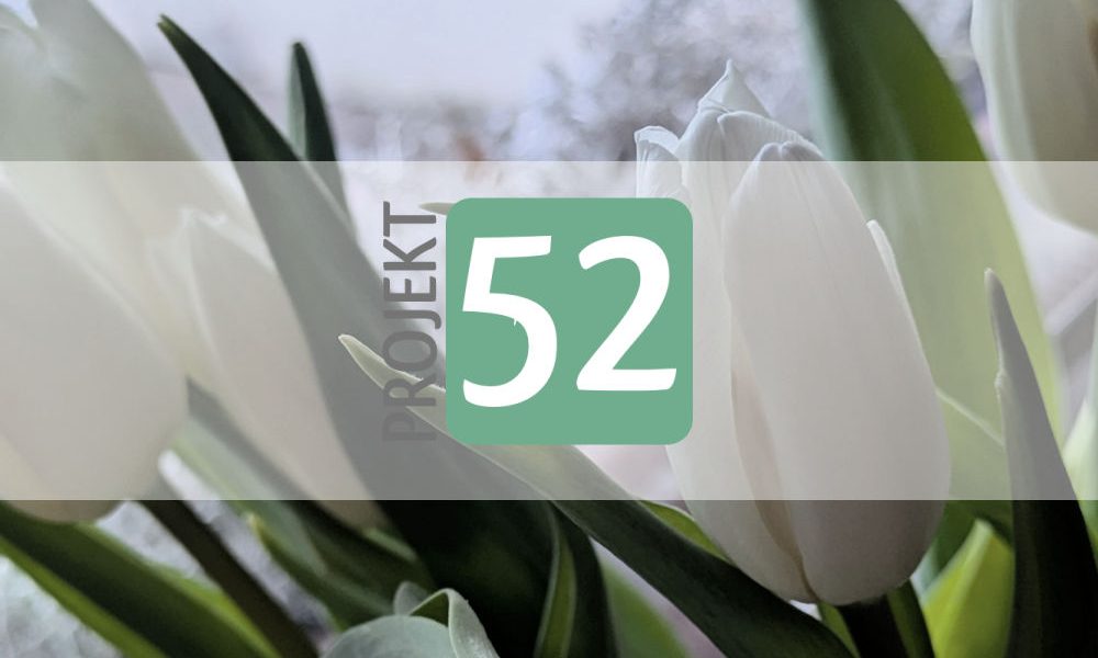 Projekt 52