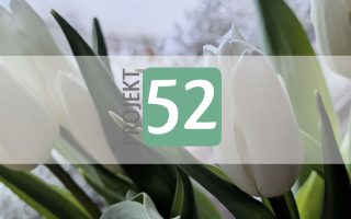 Projekt 52