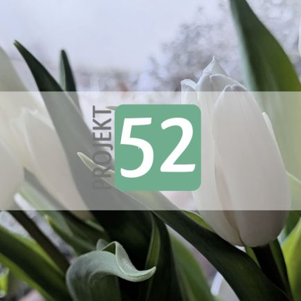 Projekt 52