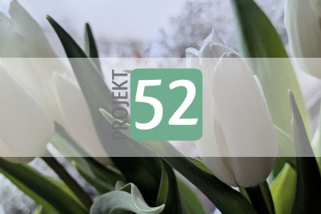 Projekt 52