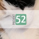 Projekt 52