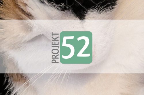 Projekt 52