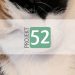 Projekt 52