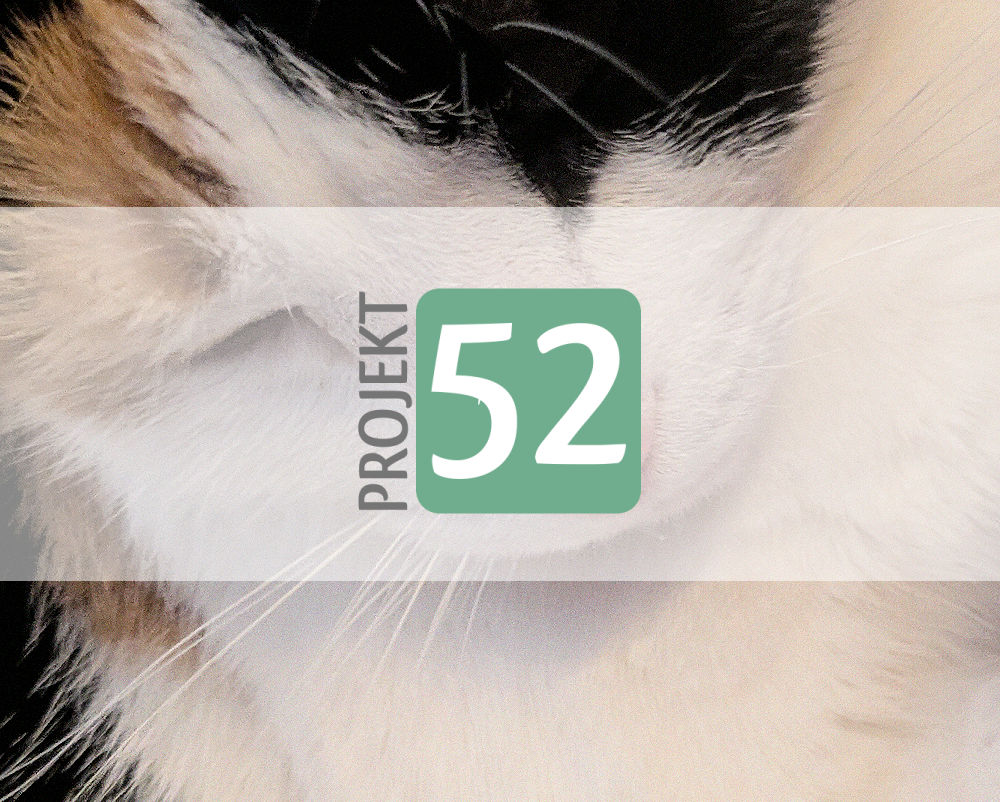 Projekt 52