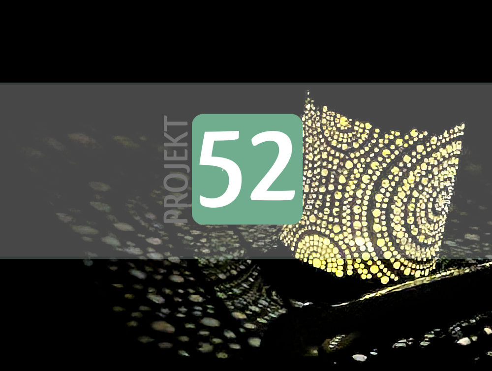 Projekt 52