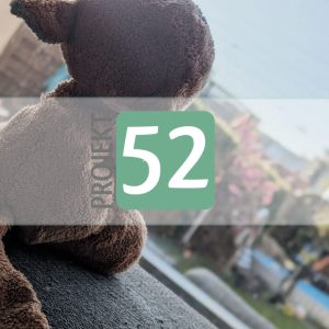 Projekt 52