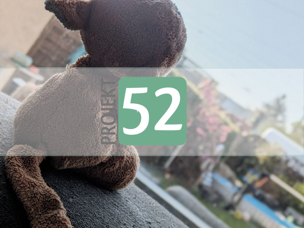 Projekt 52