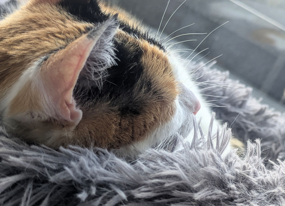 Wochenlieblinge