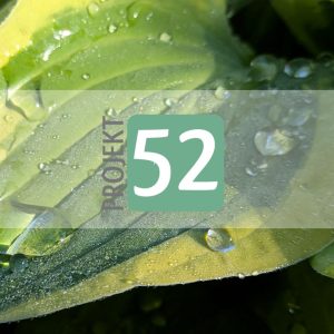 Projekt 52