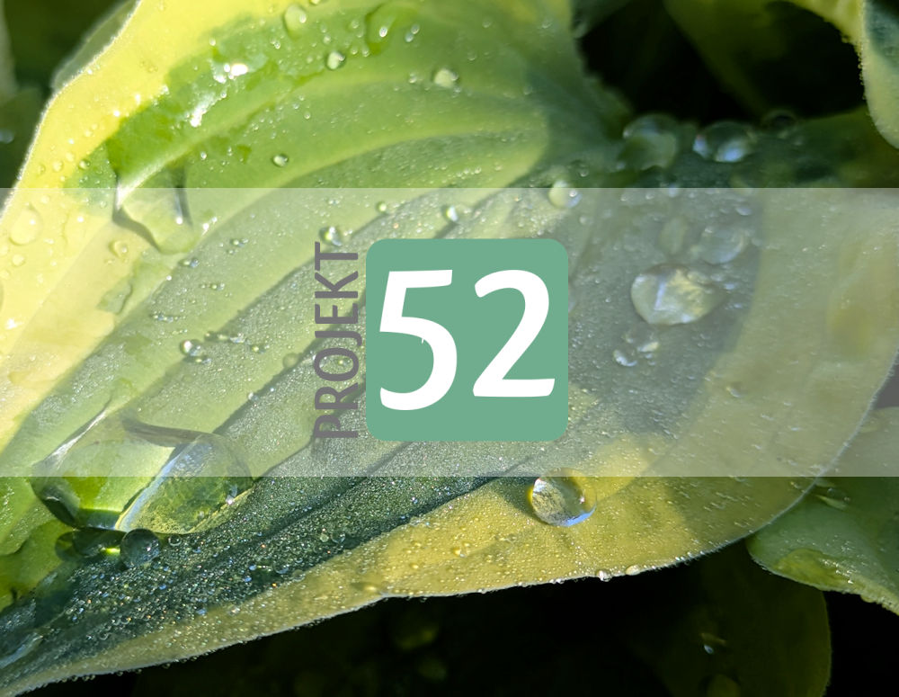 Projekt 52