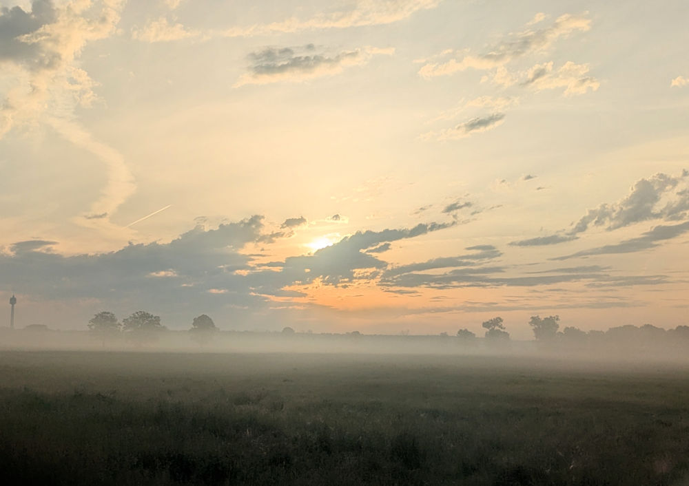 Morgentau