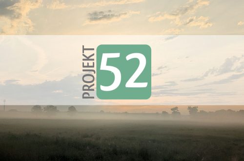 Projekt 52