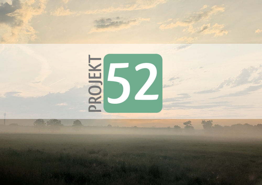 Projekt 52