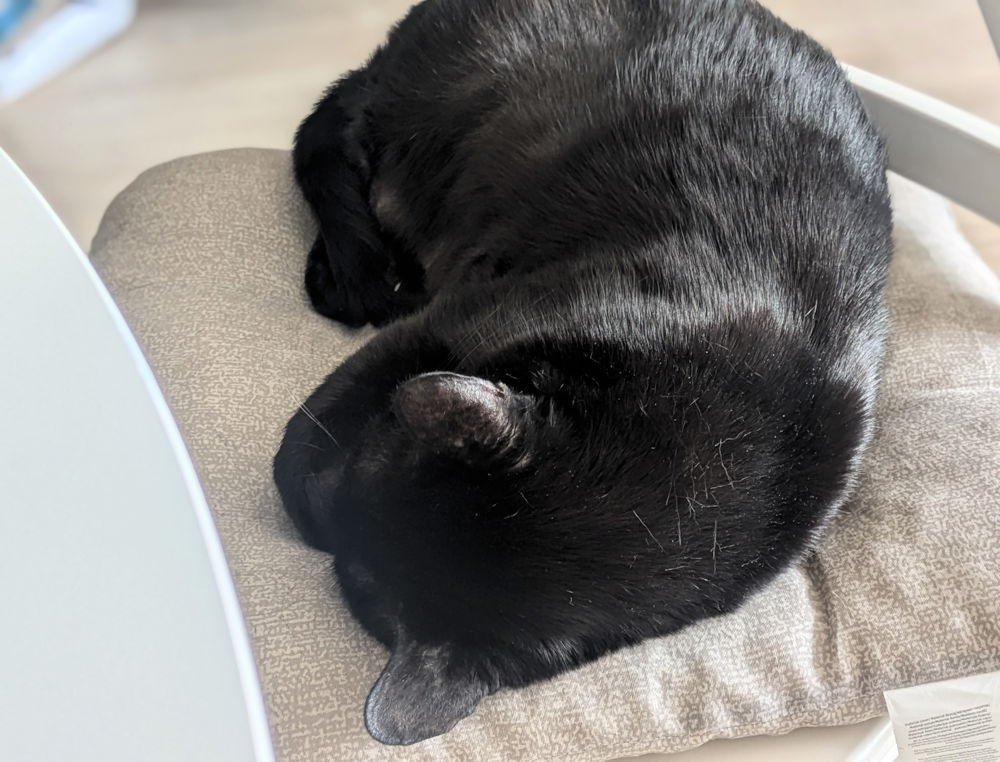 Wochenlieblinge