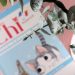 Kleine Katze Chi
