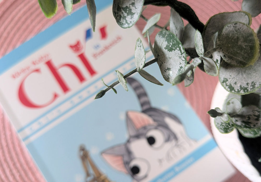 Kleine Katze Chi