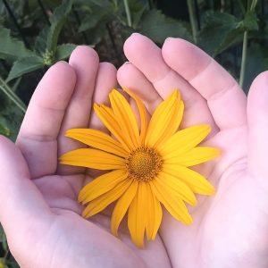 Nature Thursday