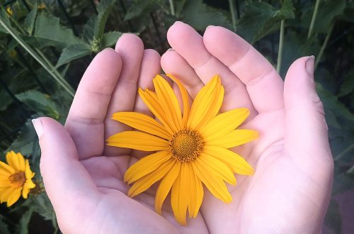 Nature Thursday