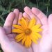 Nature Thursday