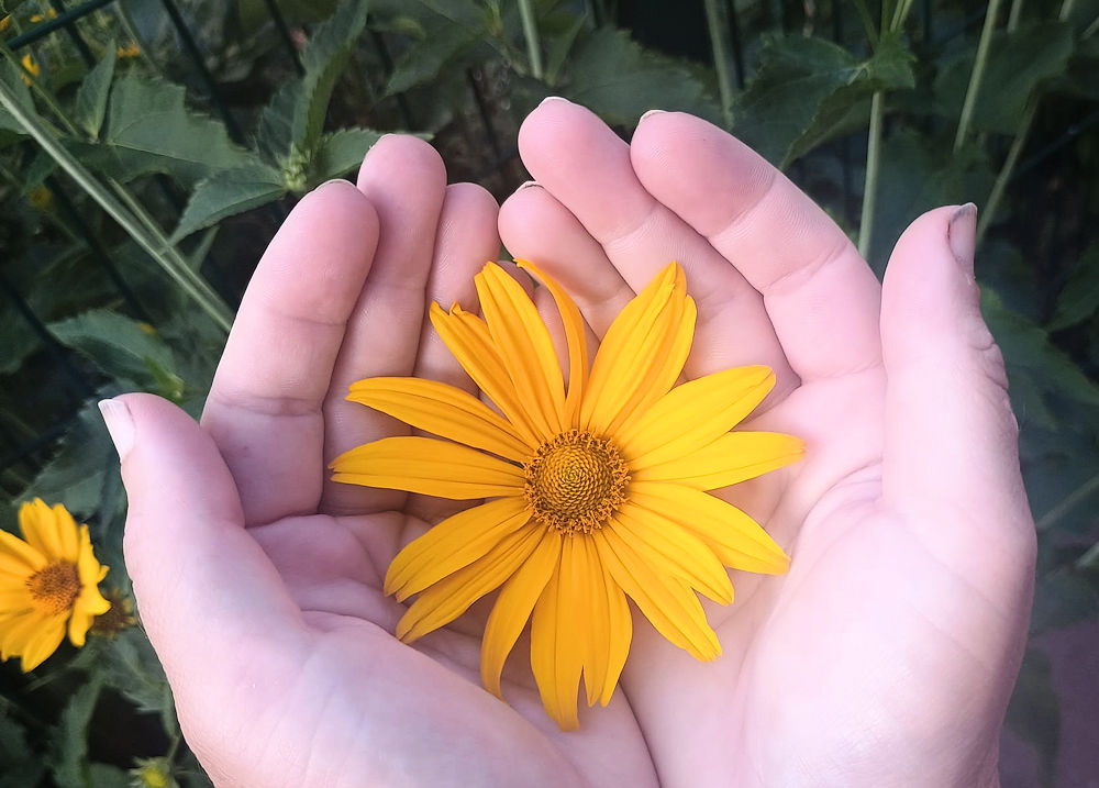Nature Thursday