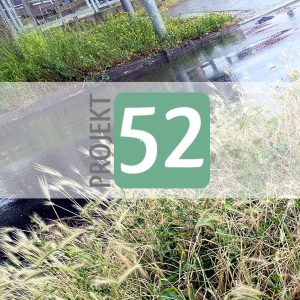 Projekt 52