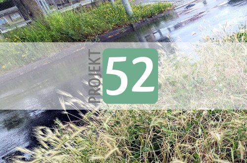Projekt 52