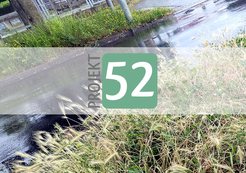 Projekt 52
