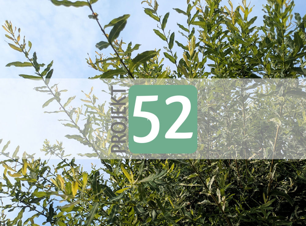 Projekt 52