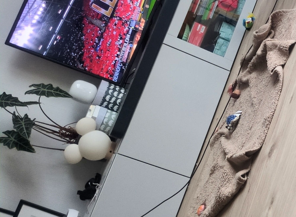 Fußball