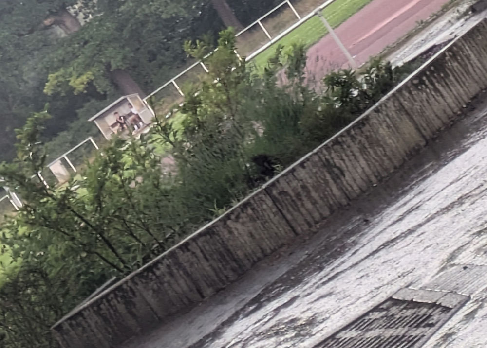 Regen