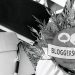 Bloggerschnack