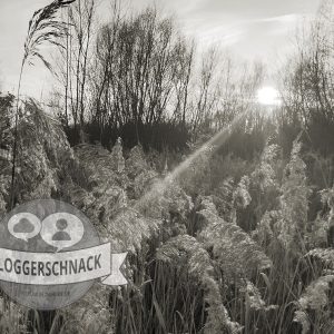 Bloggerschnack
