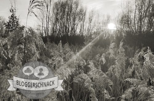 Bloggerschnack