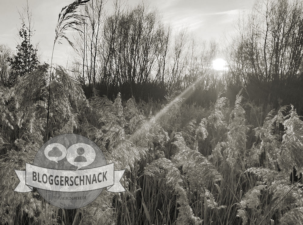 Bloggerschnack