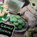 Grogu