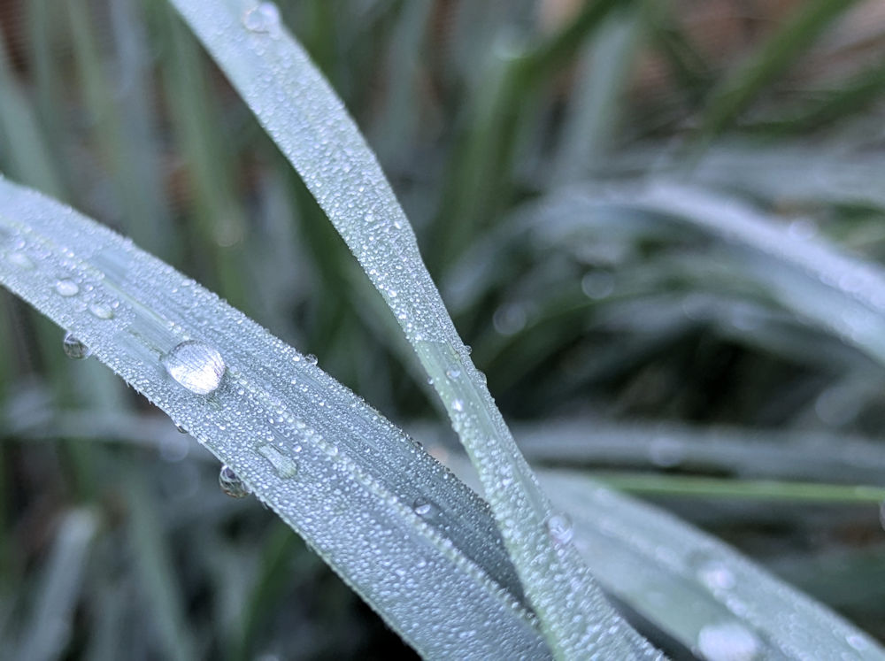 Nature Thursday